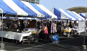 ���z�ƊC�̃}���V�F2018