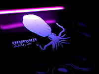 �g���b�R�V��ɉf���o����鋛��