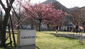 ��A�F�D�L�O��