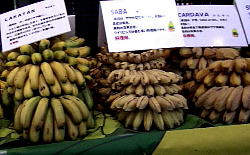 門司港バナナ博物館